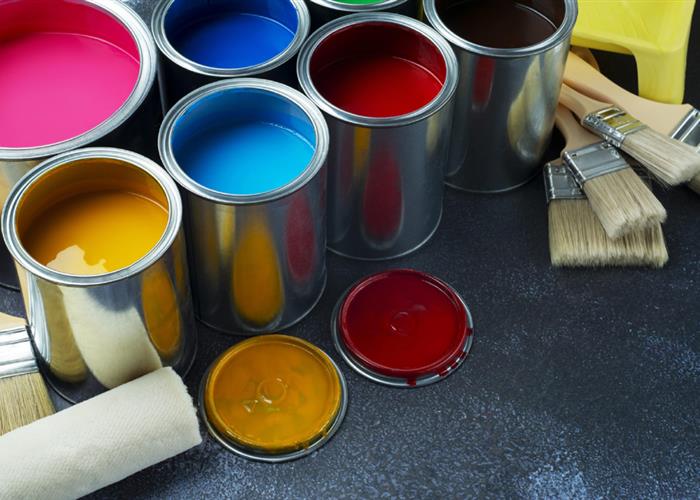 Paint & Coating 